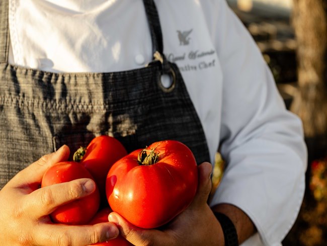 Chef in the garden
